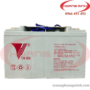 BÌNH ẮC QUI XE NÂNG ĐIỆN 12V65AH-5HR