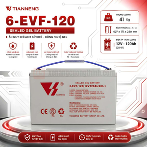 Bình Ắc Quy Khô Xe Nâng 12V 120Ah