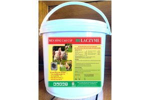 BIO LACZYME
