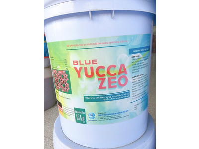 Blue Yucca Zeo