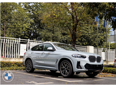 BMW X4 xDrive20i M Sport