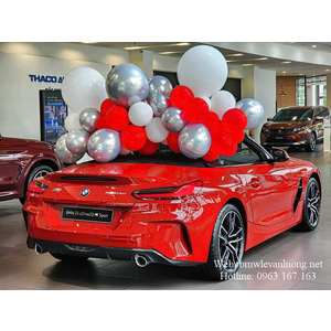 BMW Z4 sDrive20i