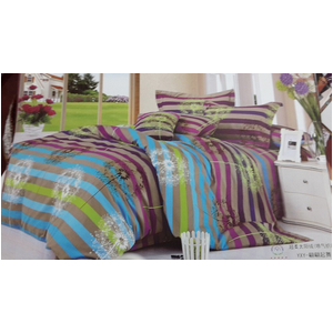 Bộ chăn ga gối 22