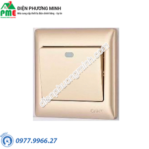 Bộ công tắc đơn 2 chiều 10AX 250V màu vàng