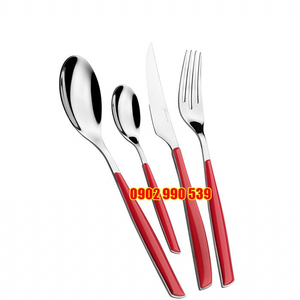 Bộ dao, muỗng, nĩa 24 món - TN01