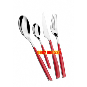 Bộ dao, muỗng, nĩa 4 món - TN05