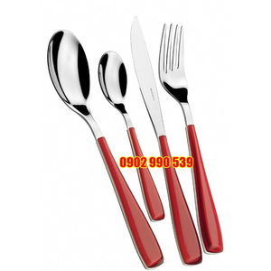Bộ dao, muỗng, nĩa 4 món - TN07