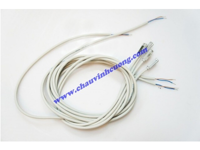 Bộ điều áp CKD SW-T2H