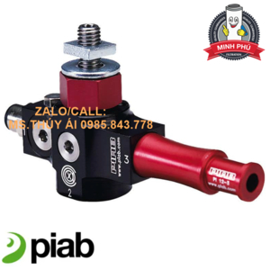 BỘ KẾT HỢP VÀ KẸP PIAB - VGS ™ 2010 OF15x45P