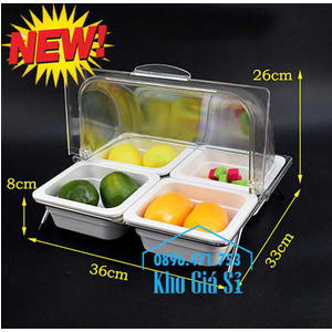 Bộ khay melamine 4 ngăn đựng thức ăn, trái cây, bánh ngọt, salad tiệc buffet