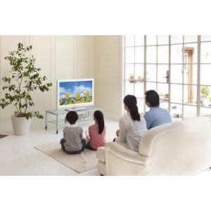 Bộ Khuếch Đại Tín Hiệu Truyền Hình Cáp SCTV – Giải Pháp Cải Thiện Chất Lượng Tín Hiệu