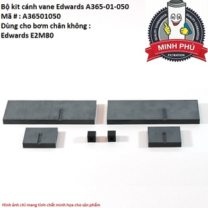 BỘ KÍT CÁNH VANE EDWARDS E2M80