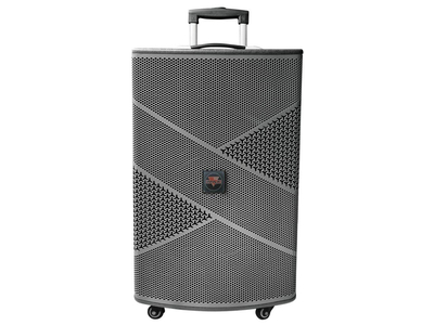 Bộ Loa Biểu Diễn Di Đông Cao Cấp IMAX W12