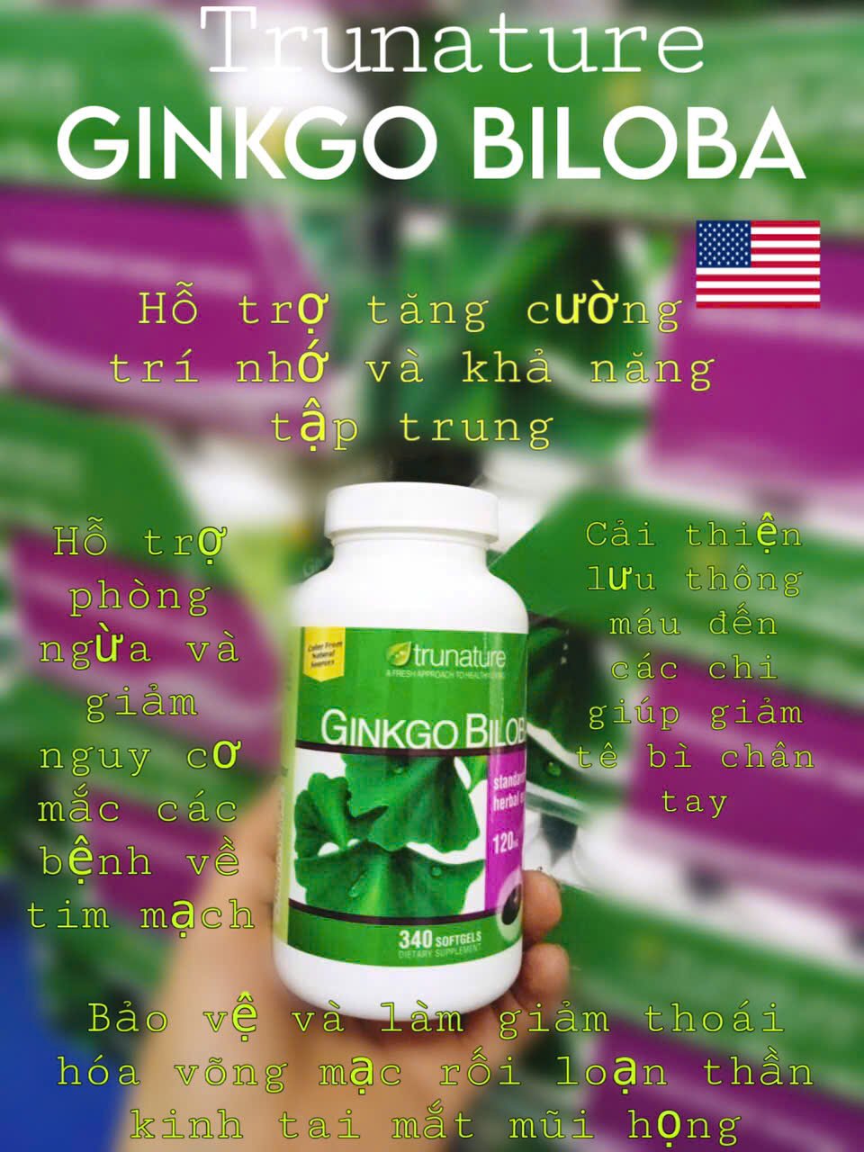 Bổ não Ginko (mỹ)