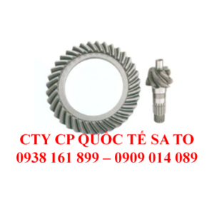 Bộ Nhông mặt trời