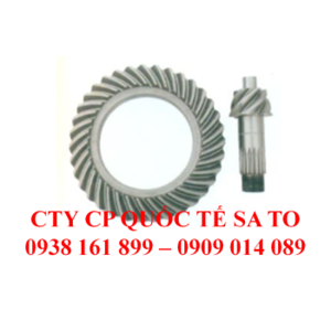 Bộ Nhông mặt trời