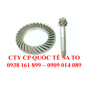 Bộ Nhông mặt trời