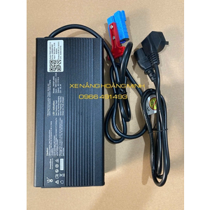 BỘ SẠC PIN LITHIUM 48V9A- P600F-4809 ( GIẮC CẮM MÀU XANH)