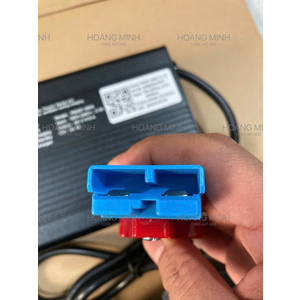 BỘ SẠC PIN LITHIUM 48V9A- P600F-4809 ( GIẮC CẮM MÀU XANH)