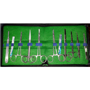 Bộ tiểu phẫu 11 món