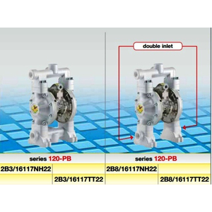 Bơm dầu khí nén Raasm Series 120
