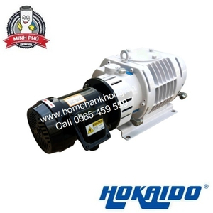 BƠM HÚT CHÂN KHÔNG PISTON HOKAIDO RV0500C