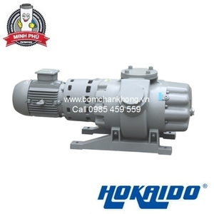 BƠM HÚT CHÂN KHÔNG PISTON HOKAIDO RV2000Y