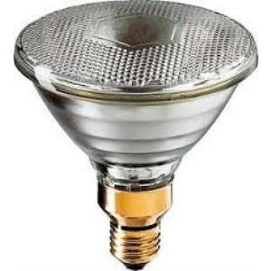 Bóng bạc Osram