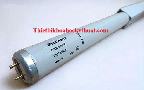 Bóng đèn F20T12/CW Sylvania