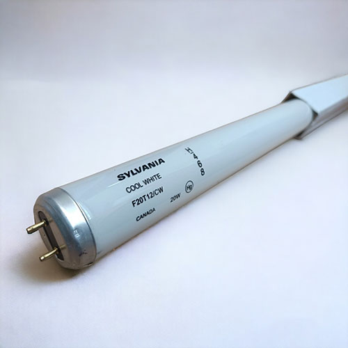Bóng đèn F20T12/CW Sylvania