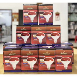 Bóng đèn hồng ngoại Greetmed