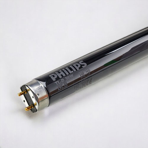 Bóng đèn soi màu TL-D 36W BLB Philips