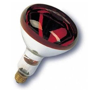 Bóng hồng ngoại OSRAM