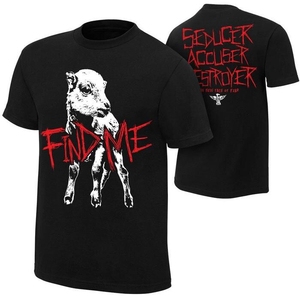 BRAY WYATT - FIND ME