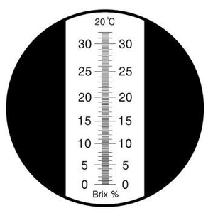 Khúc xạ kế đo độ ngọt 0-32%, RHB-32/ATC Brix 0-32% optical refractometer