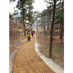 Thảm dệt xơ dừa, lưới xơ dừa, gối ôm xơ dừa, lưới che nắng xơ dừa