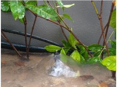 Vòi phun tưới tràn Bubbler