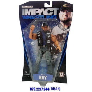 [HÀNG HIẾM] TNA BULLY RAY (WWE BUBBA RAY DUDLEY) - DELUXE IMPACT SERIES 12