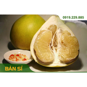 BƯỞI DIỄN (THÙNG 30-50 quả)