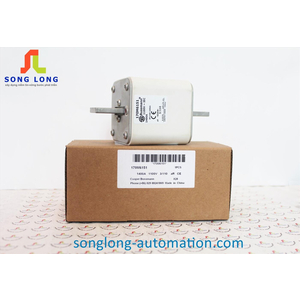 CẦU CHÌ BUSSMANN 170M6151