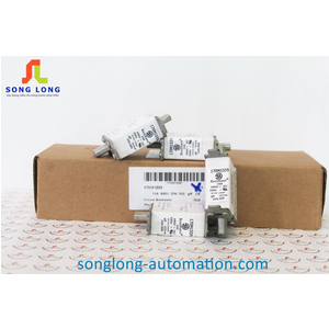 CẦU CHÌ BUSSMANN 170M1559