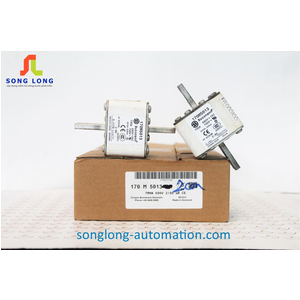 CẦU CHÌ BUSSMANN 170M5013