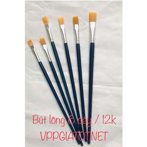 Bút lông 6 chiếc