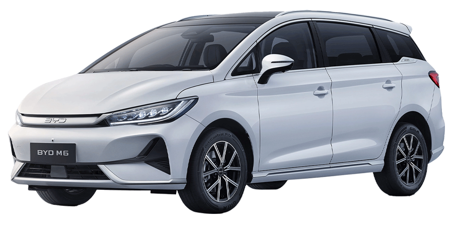 BYD M6