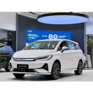 BYD M6