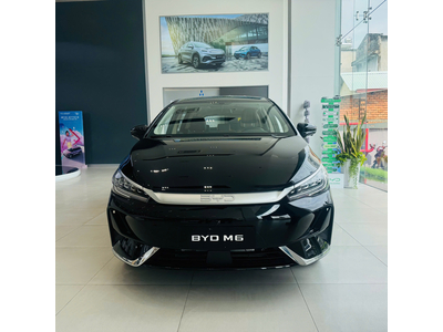BYD M6