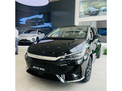 BYD M6