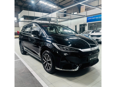 BYD M6