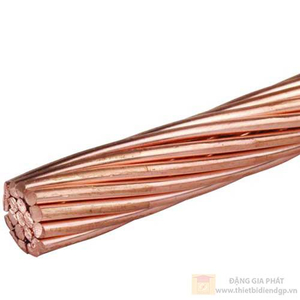 C 10 - Đồng trần xoắn C LION