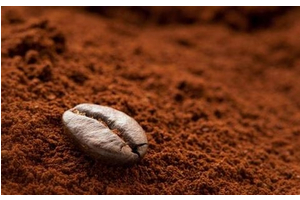 Cà Phê Sạch, Cà Phê Bẩn( Cà Phê Pin, Cà Phê Đậu Tương) Cách Phân Biệt